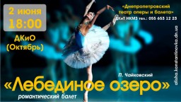 «Лебединое озеро» покажут в Константиновке