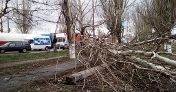 Последствия ураганного ветра в Константиновской и Ильиновской ТГ устраняют в усиленном режиме