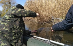 В Кривом Торце экологическая инспекция нашла рыболовные сети