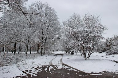 Сказка, которая была явью: зимние фото Константиновки