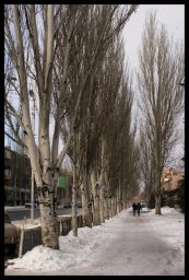 Константиновка. Мирная жизнь: фотоархив памяти