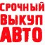 Срочный выкуп авто,любое состояние,рассмотрю вар-ты