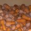 Продам тыкву (гарбуз) кашник/гитара 0