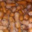 Продам тыкву (гарбуз) кашник/гитара 1